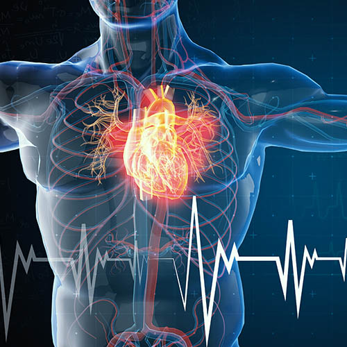 Practical Update in Cardiology